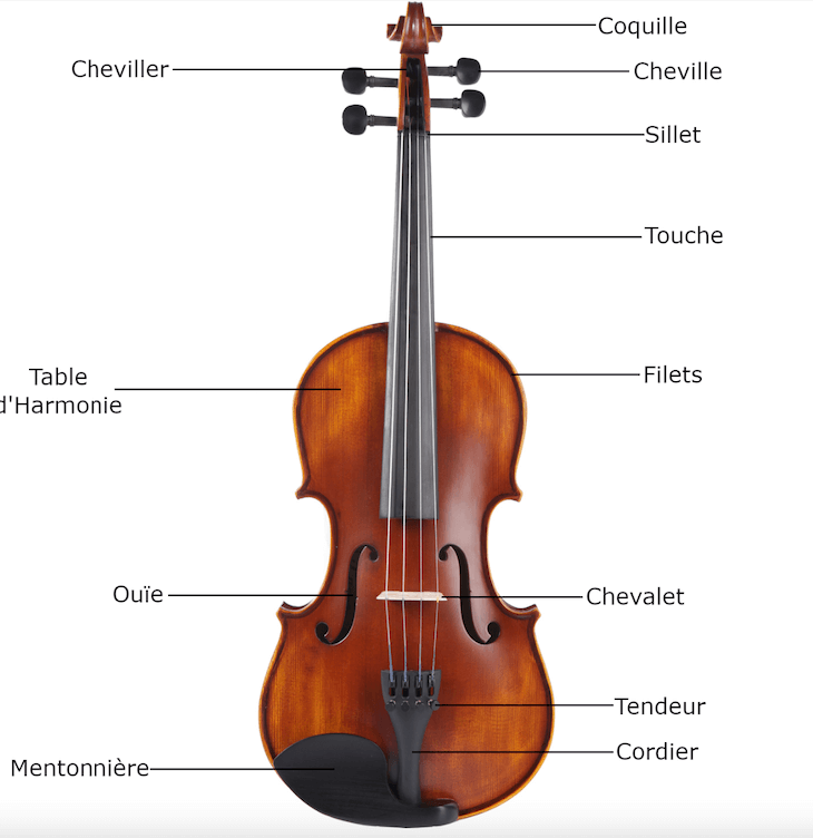 structure violon