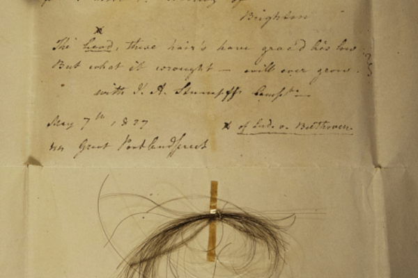 cheveux adn beethoven