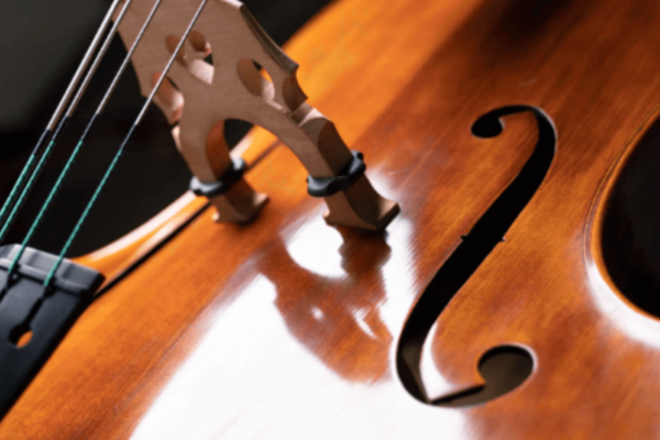 debuter le violon choix cordes