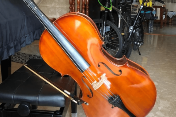 debuter le violoncelle acheter violoncelle occasion