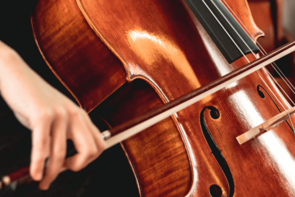 debuter le violoncelle choisir violoncelle