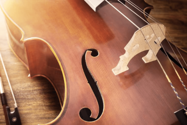 debuter le violoncelle cordes violoncelle