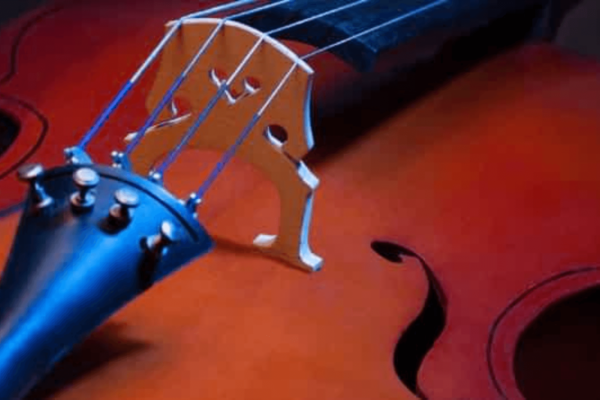 debuter le violoncelle marques violoncelle