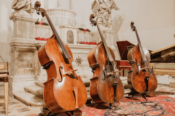 debuter le violoncelle taille violoncelle