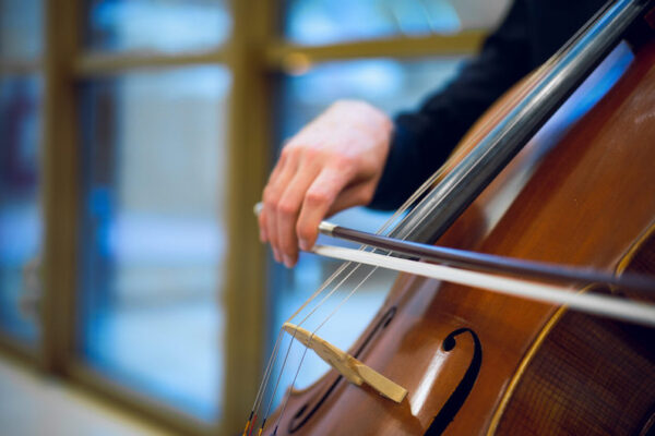 archet violoncelle