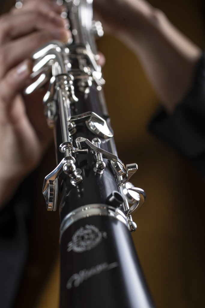 selmer muse