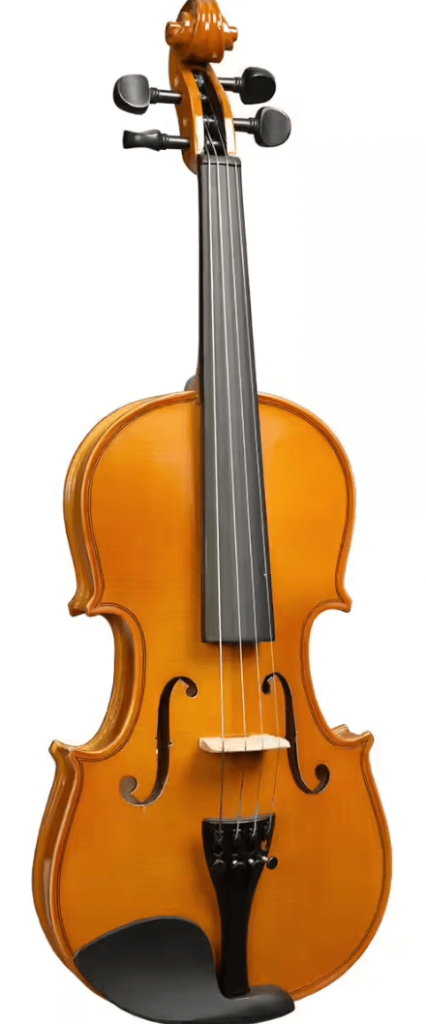 Herald Massif Violon Photo 1