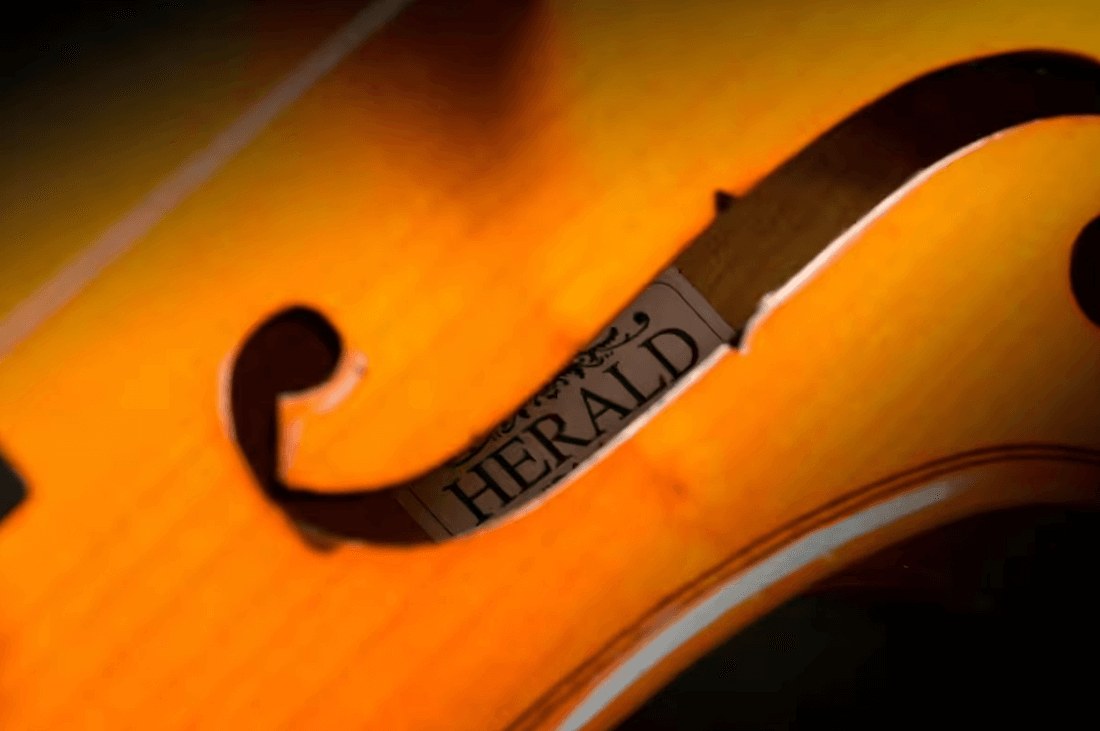 Herald Massif Violon Photo 2