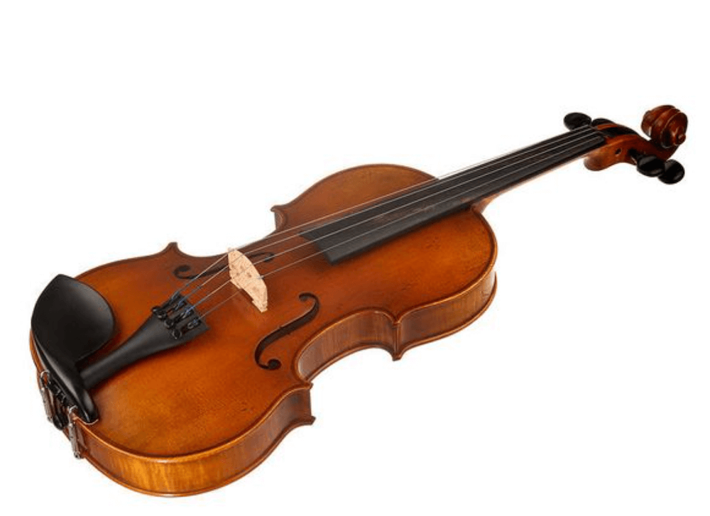 Karl Höfner Allegro Photo 1