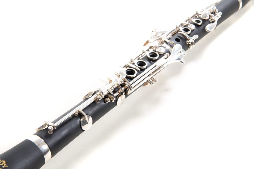 Roy Benson CB-317 avis