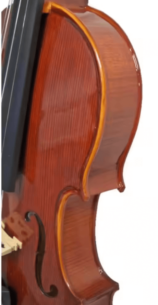 Violon Stentor Conservatoire 1