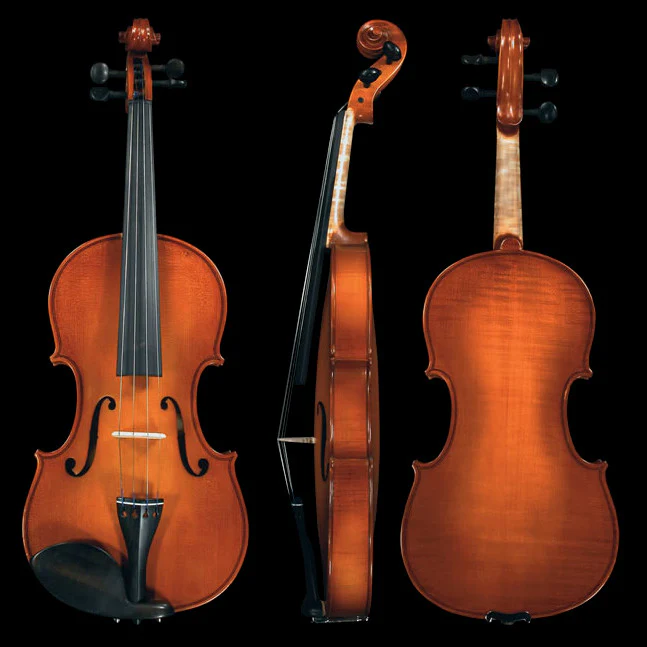 gliga genial violon avis