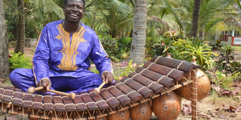 balafon instrument rare