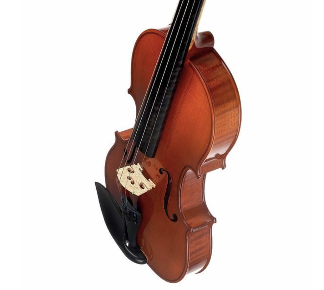 Karl Höfner Allegretto Photo 2