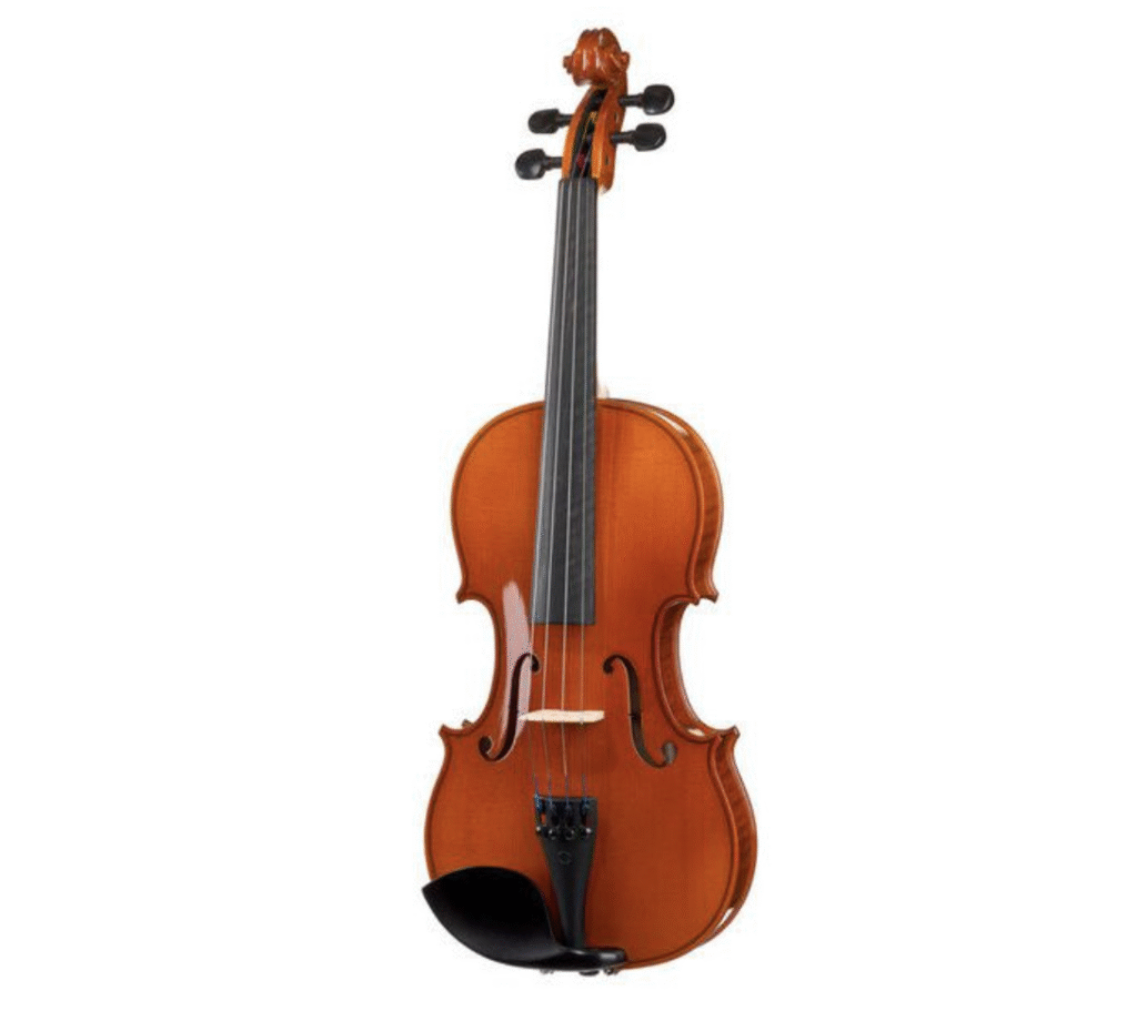 Karl Höfner Allegretto Photo 3