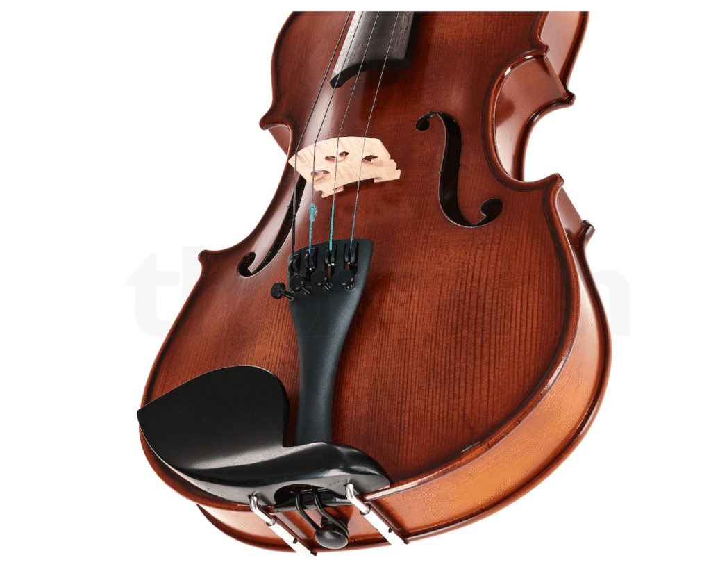 violon thomann student photo 2