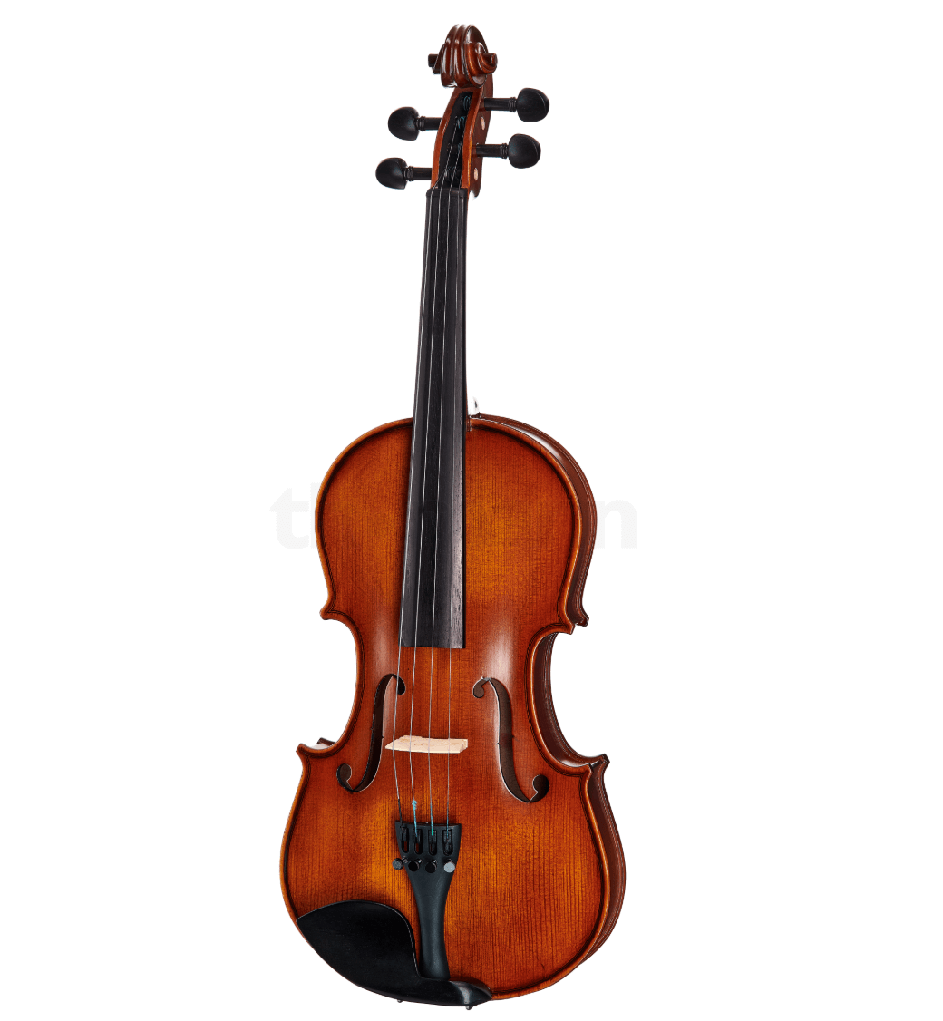 violon thomann student photo 3