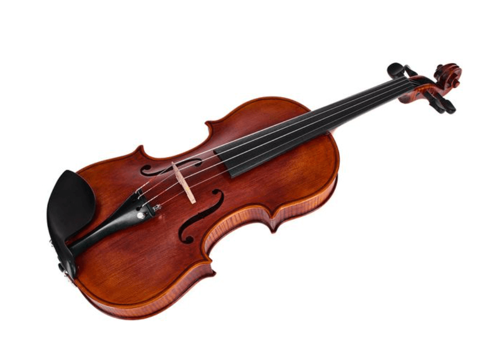 Stentor SR1995 Amati Photo 2