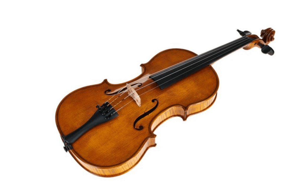 Violon GEWA Georg Walther GYA Photo 1
