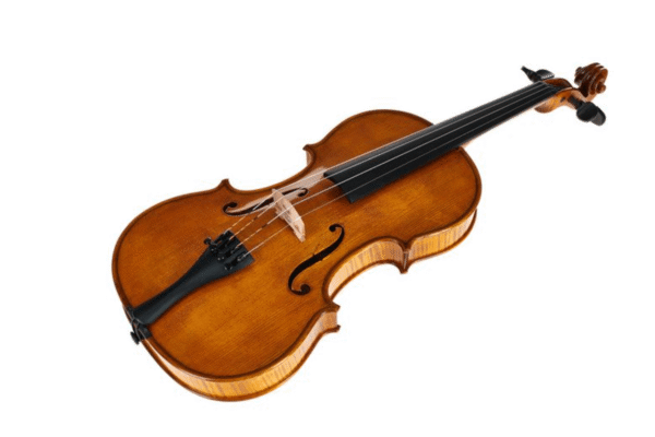 Violon GEWA Georg Walther GYA Photo 1