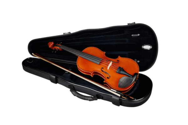 Violon Karl Höfner Concert Photo 2