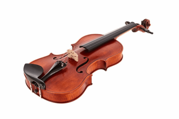 Violon Stentor SR1875 Elysia Photo 2