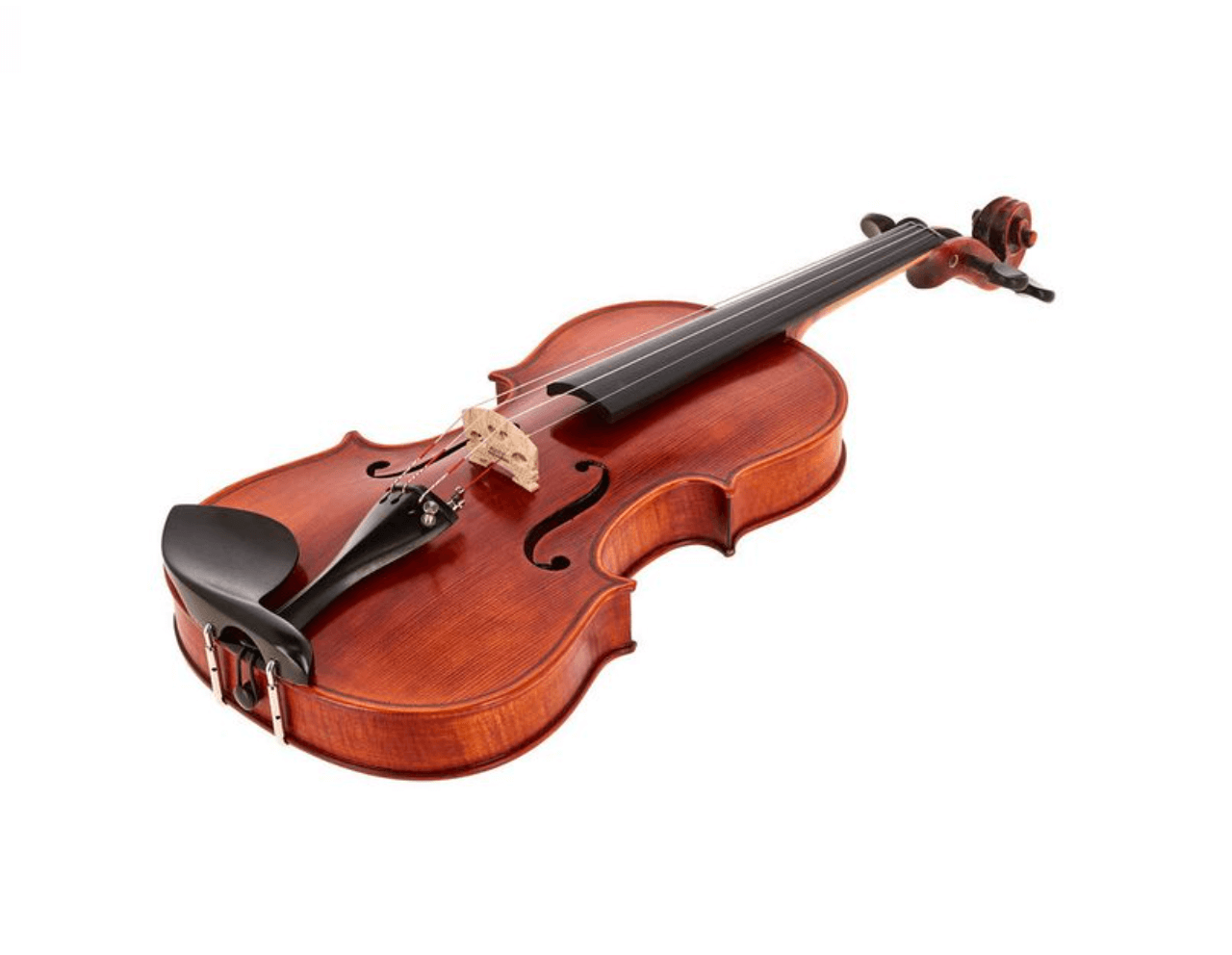 Violon Stentor SR1875 Elysia Photo 2