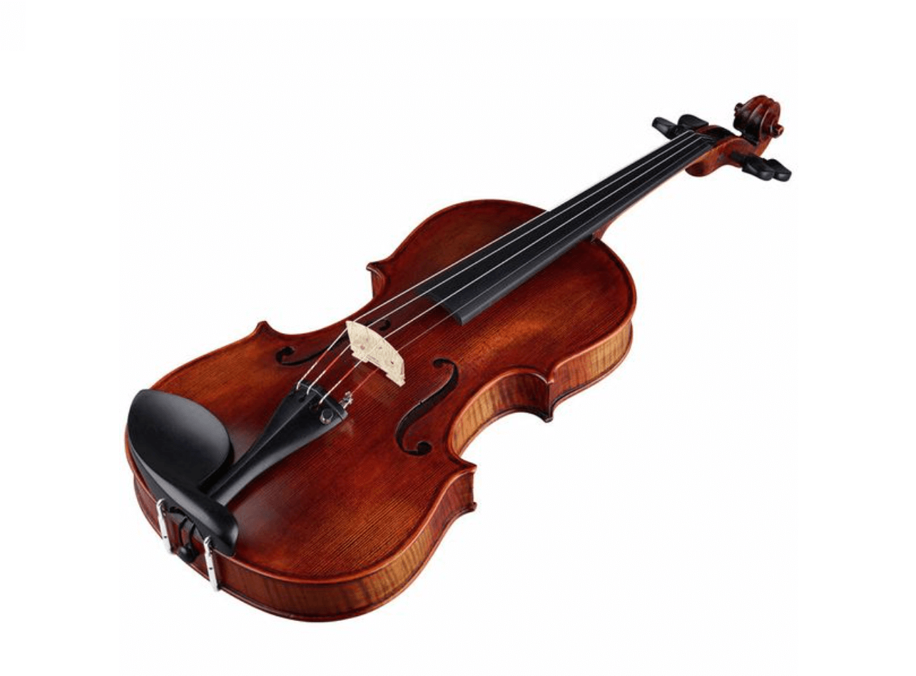 Violon Stentor SR1880 Arcadia Photo 1