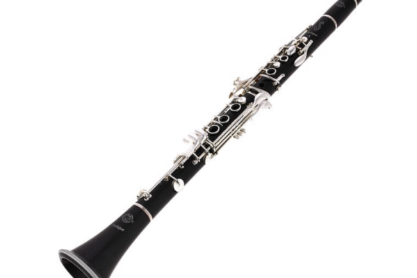 Selmer Prologue 2 Photo 1