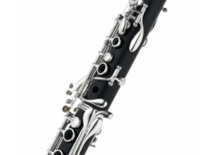 Yamaha-YCL-255-Photo