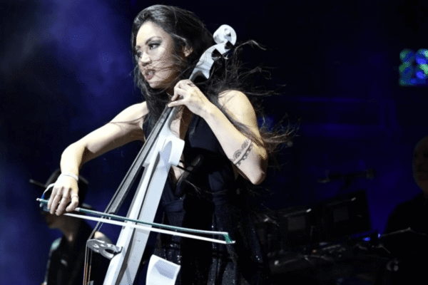 violoncelle electrique guide achat