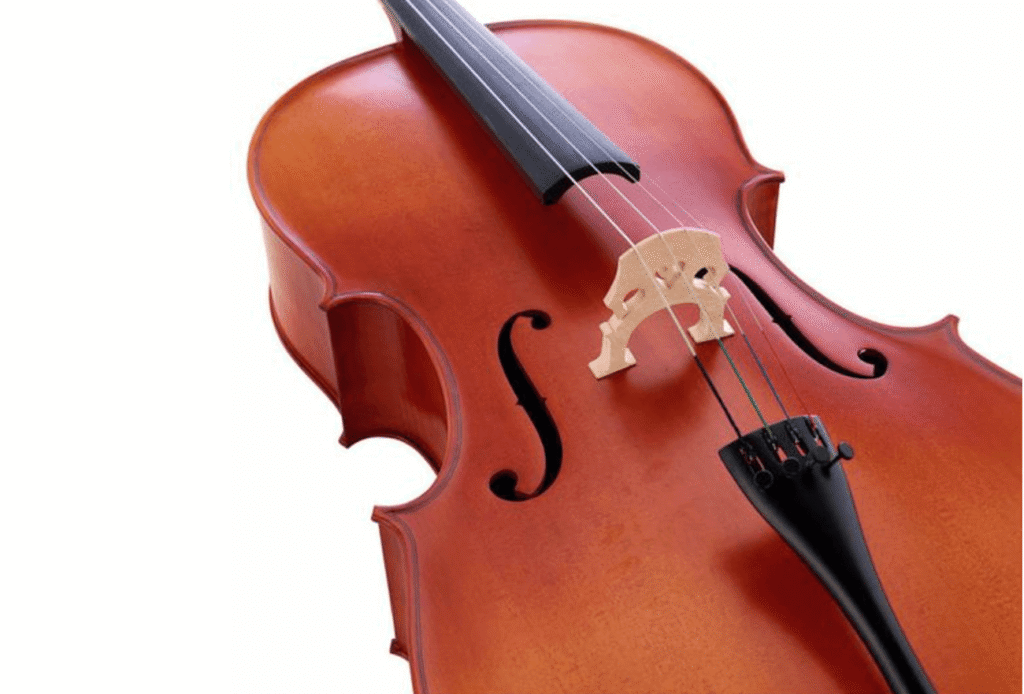 Violoncelle Gewa Pure Photo 3