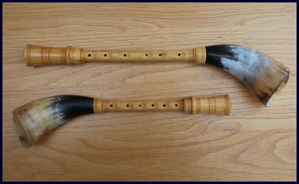 zhaleika instrument rare photo 2