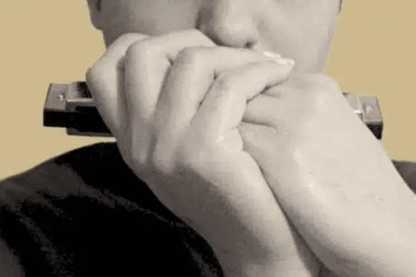 harmonica tremolo meilleur comparatif