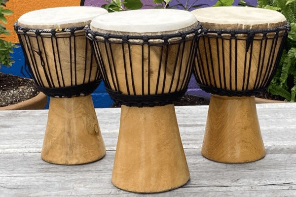 meilleurs djembés selection