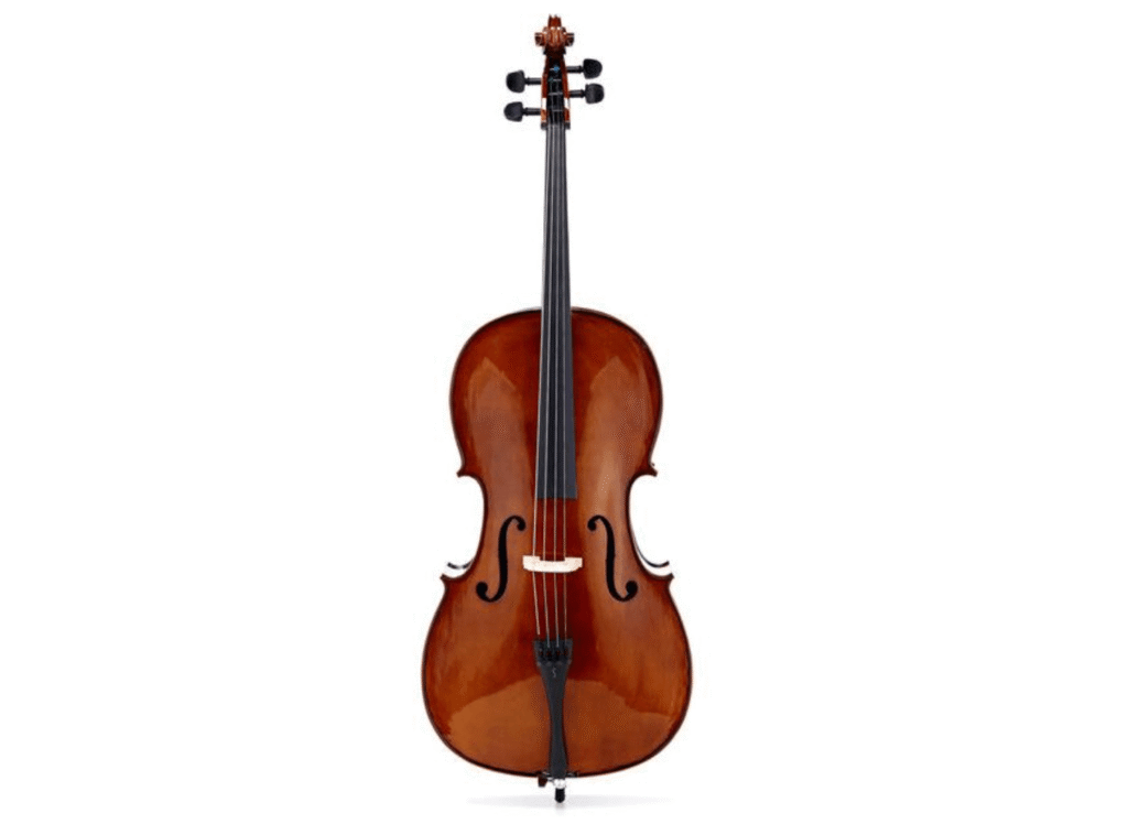 violoncelle stentor 2