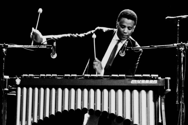 comparatif meilleur vibraphone